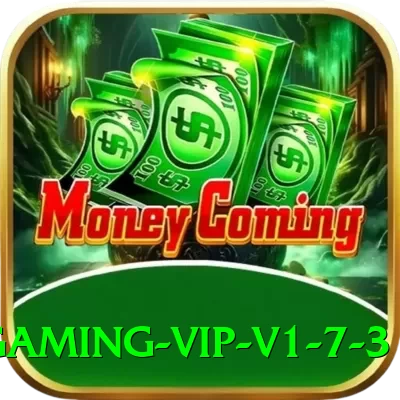pkr333 Gaming VIP v1.7.3 - 2